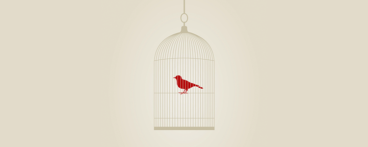 即时到账快速的免费网络电话在线使用